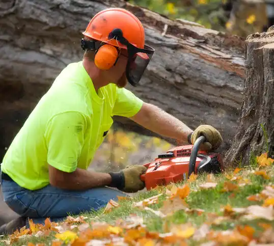 tree services Vander